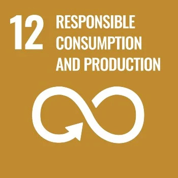 Responbile consumption and production